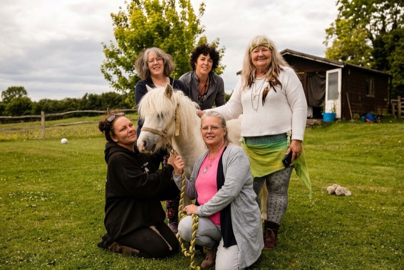 A group of sanctuary volunteers gathered around a white pony in the field