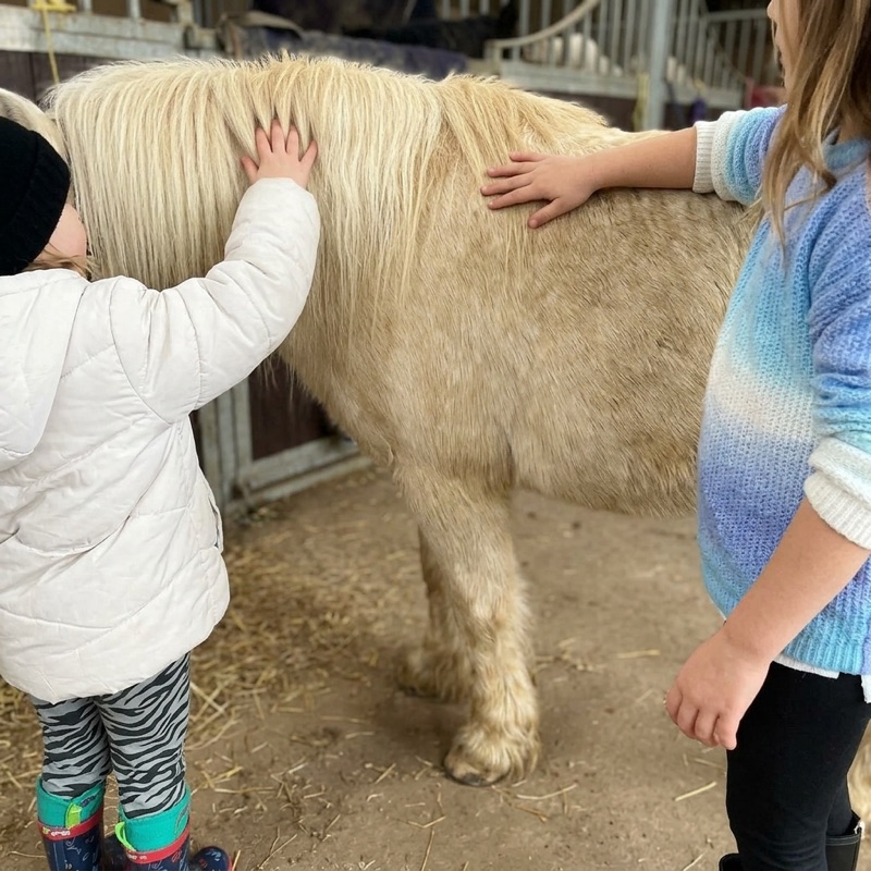 Two children resting their hands gently on a pony's back and mane